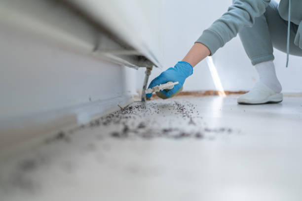 Professional Pest Control in The Villages, FL