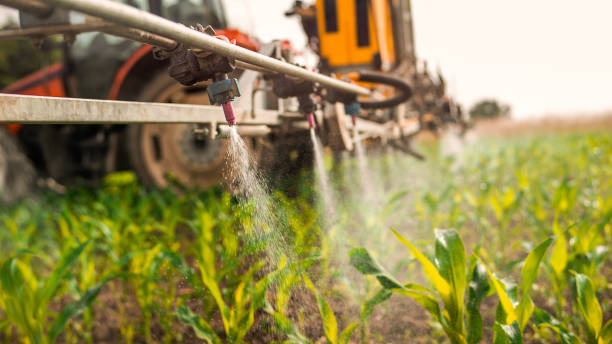 Best Mosquito Control Services  in The Villages, FL